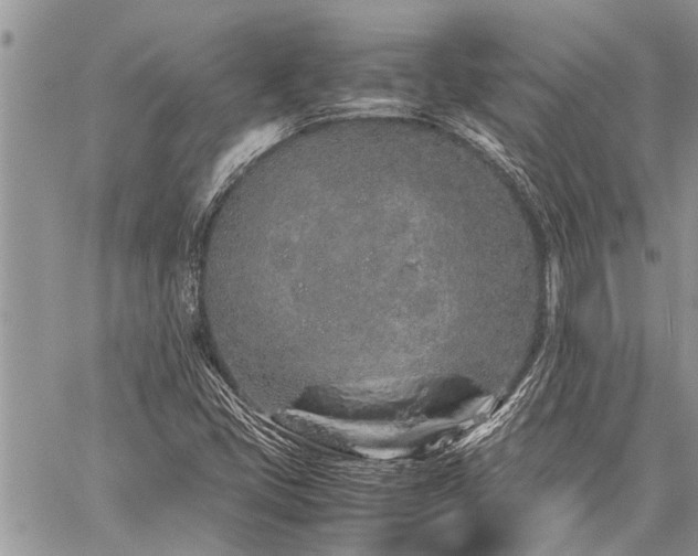 X0000059801405200510211040