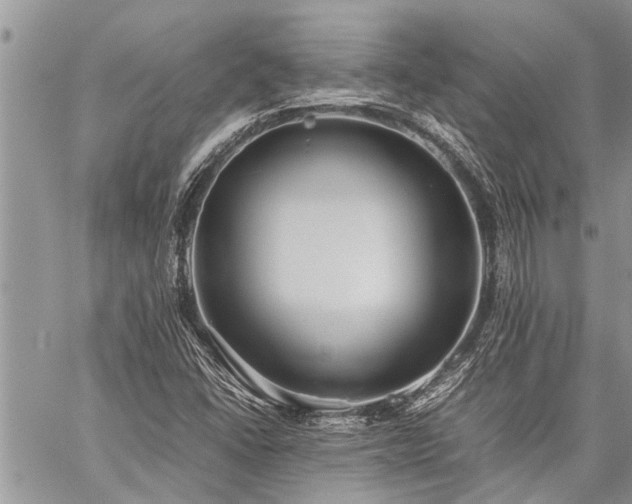 X0000059801406200510211040