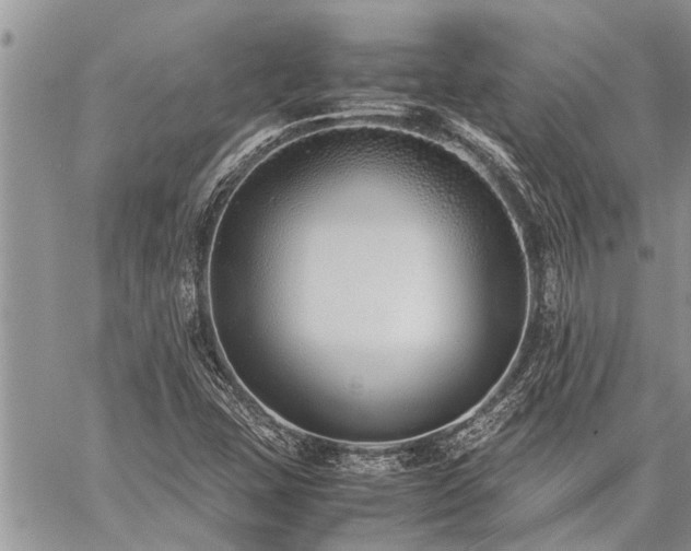 X0000059801407200510211040