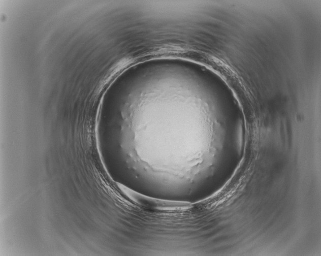 X0000059801409200510211040