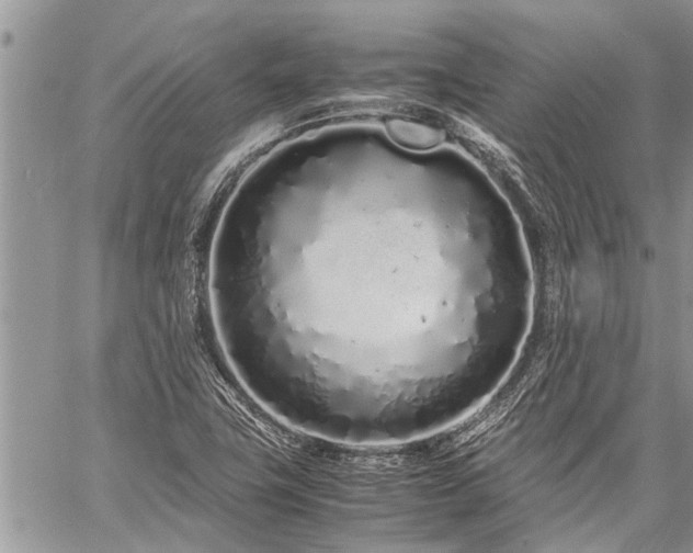 X0000059801411200510211040