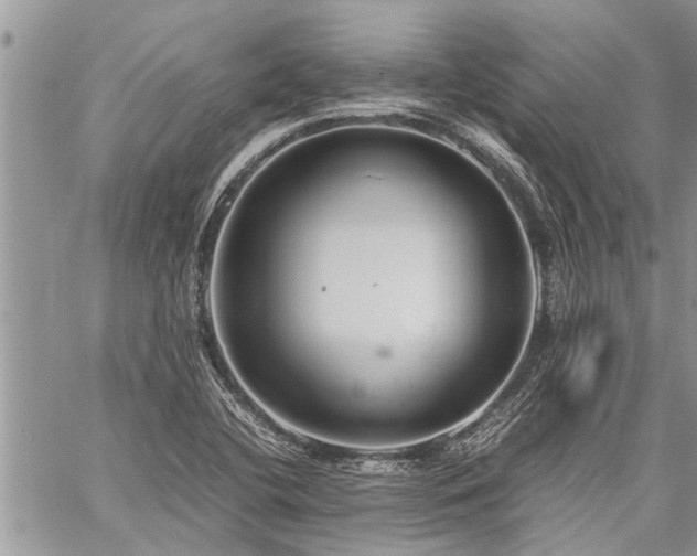 X0000059801412200510211040