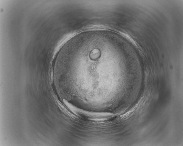 X0000059801413200510211040