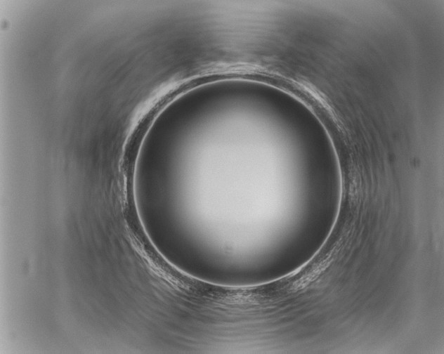 X0000059801414200510211040