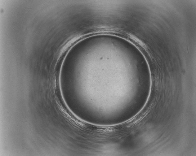 X0000059801415200510211040