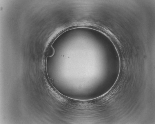 X0000059801416200510211040