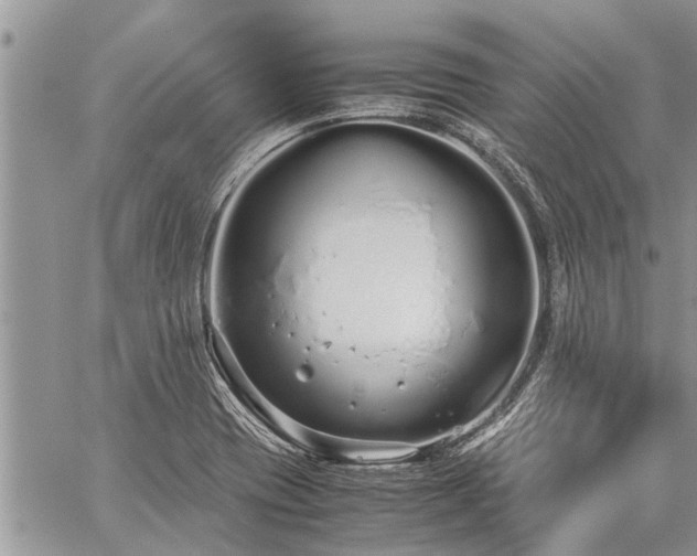 X0000059801417200510211040