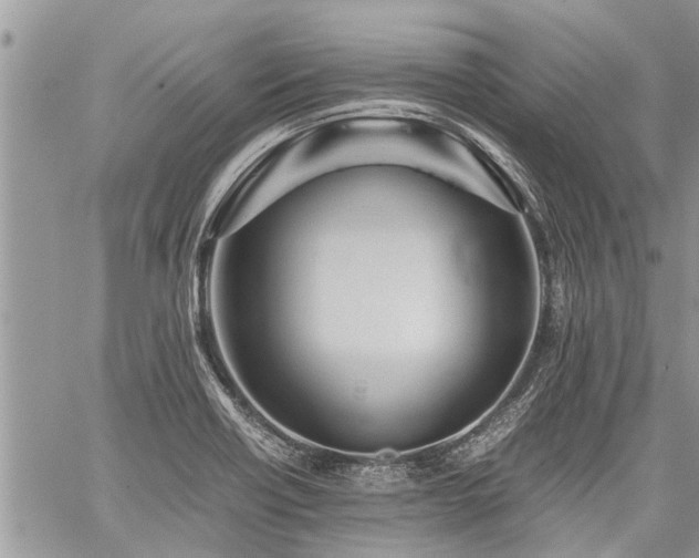 X0000059801418200510211040