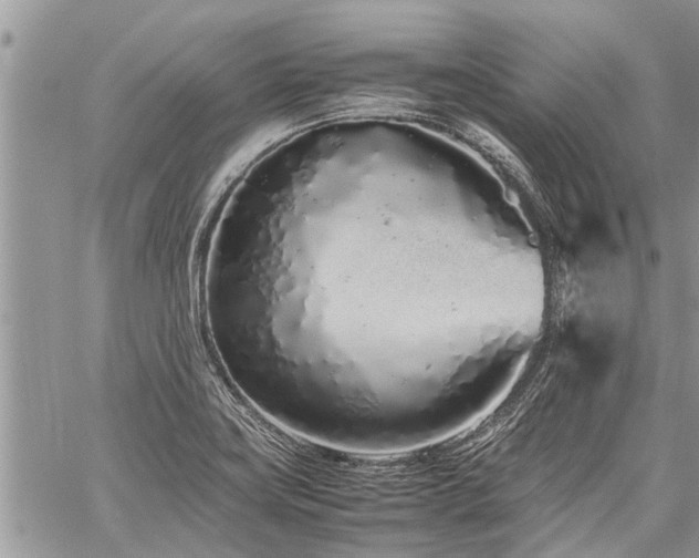 X0000059801419200510211040