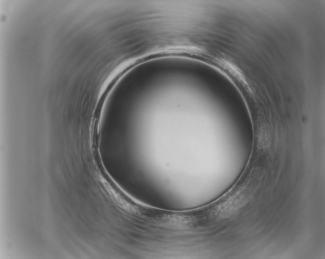 X0000059801420200510211040