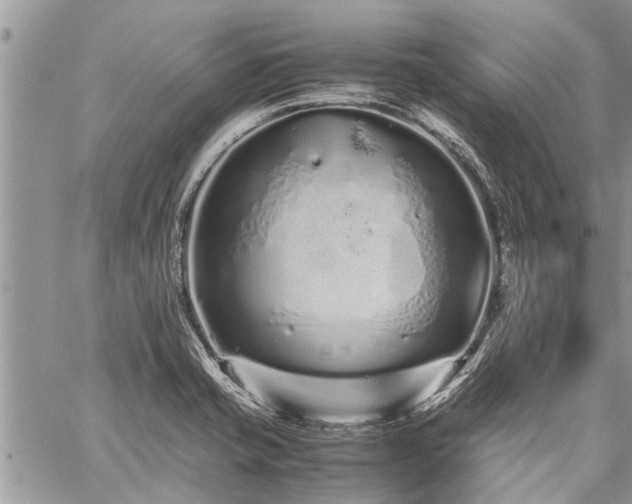 X0000059801421200510211040