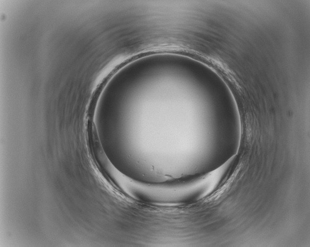 X0000059801422200510211040