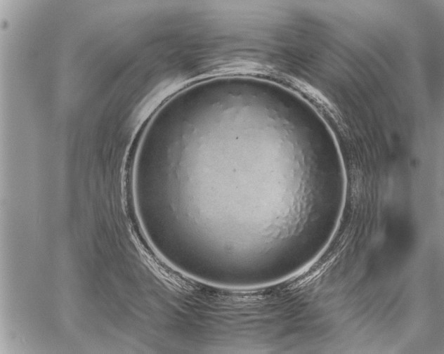 X0000059801423200510211040