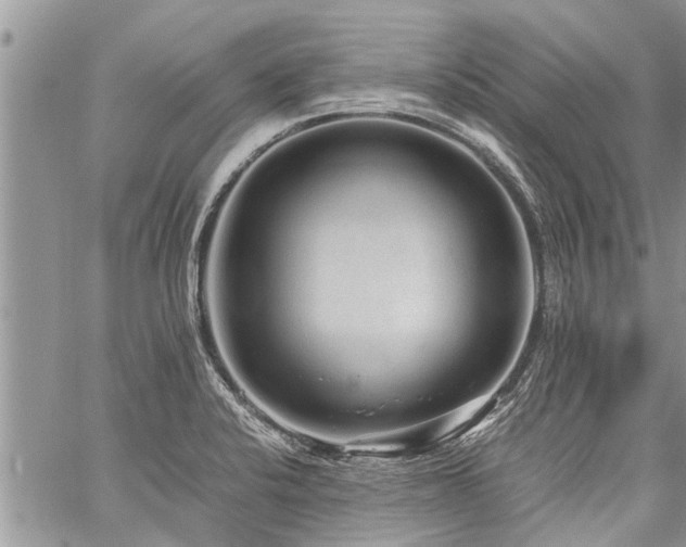 X0000059801424200510211040