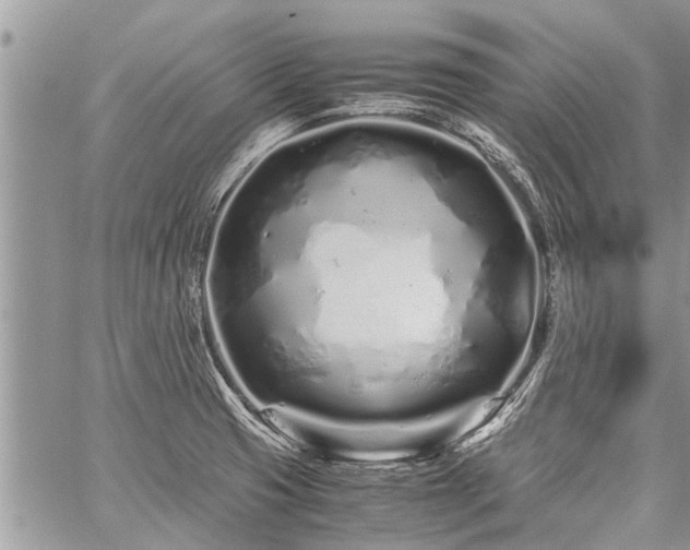 X0000059801425200510211040