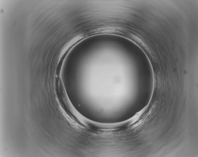 X0000059801426200510211040