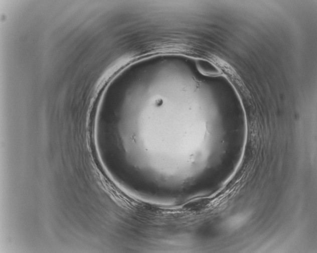 X0000059801427200510211040