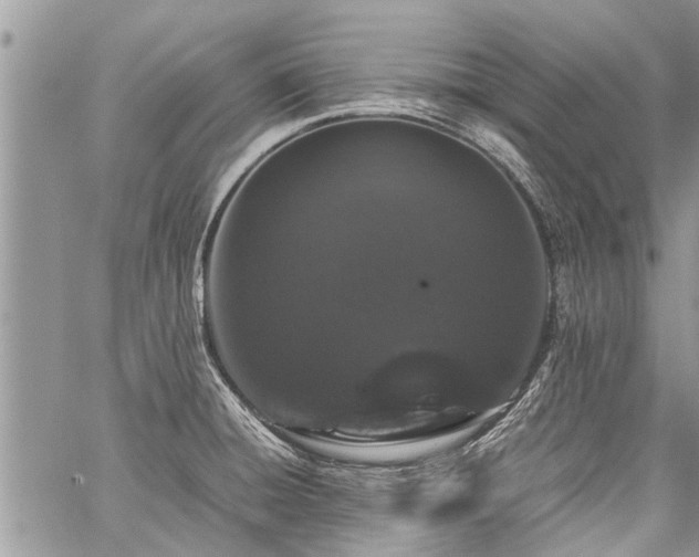 X0000059801428200510211040