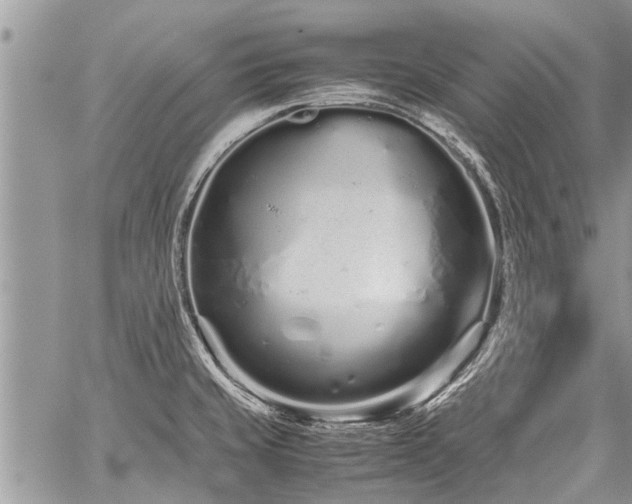 X0000059801429200510211040