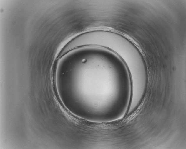 X0000059801430200510211040