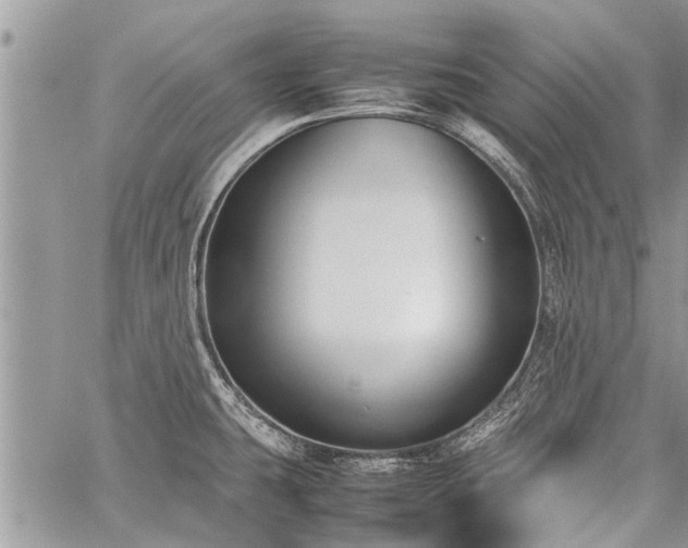 X0000059801431200510211040