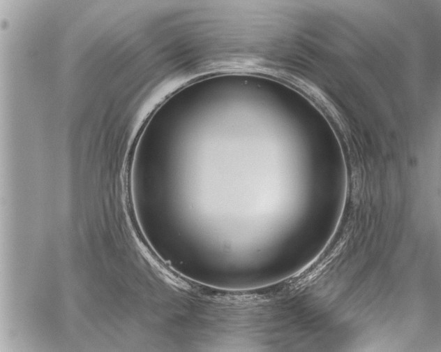 X0000059801432200510211040