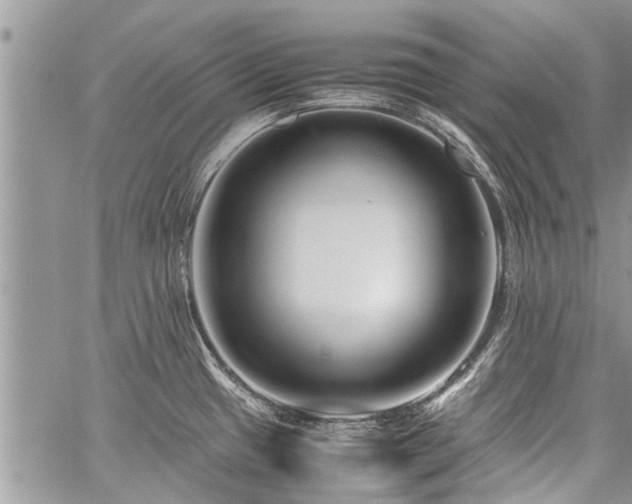 X0000059801433200510211040