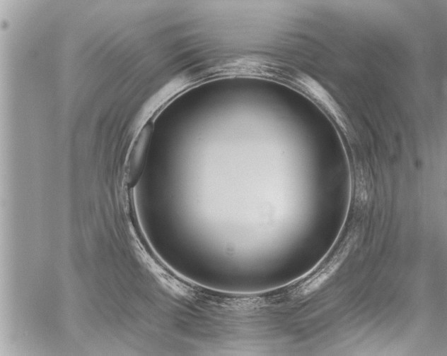 X0000059801434200510211040