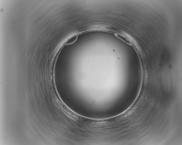 X0000059801435200510211040