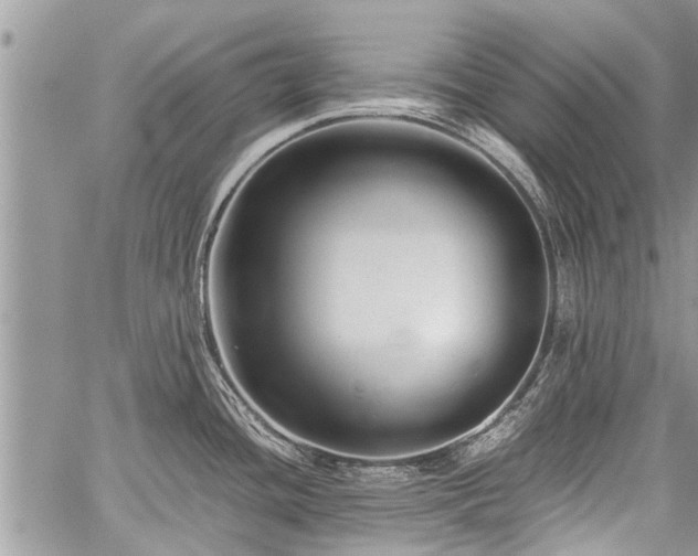 X0000059801436200510211040