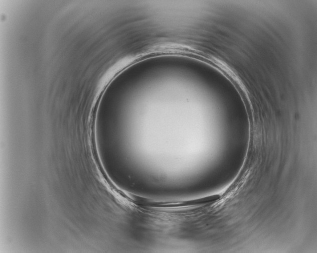 X0000059801437200510211040