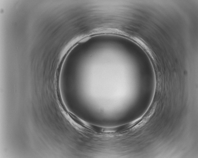 X0000059801438200510211040