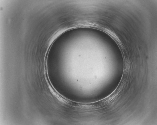 X0000059801439200510211040