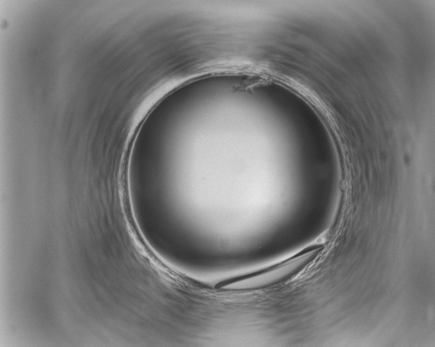 X0000059801440200510211040