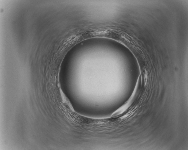 X0000059801441200510211040