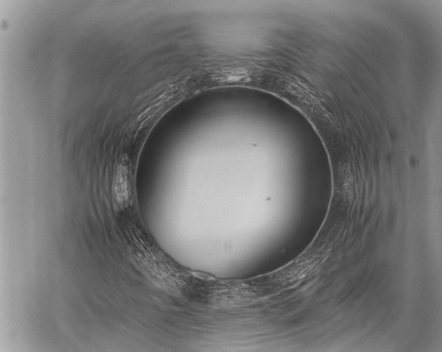 X0000059801442200510211040