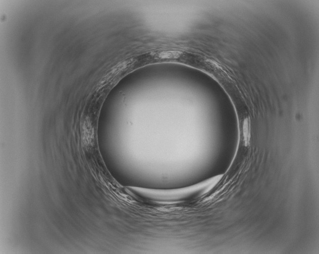 X0000059801443200510211040