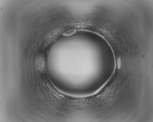 X0000059801444200510211040