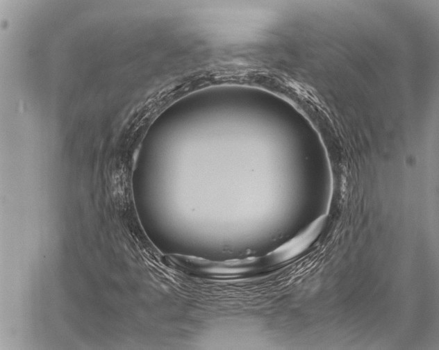 X0000059801445200510211040