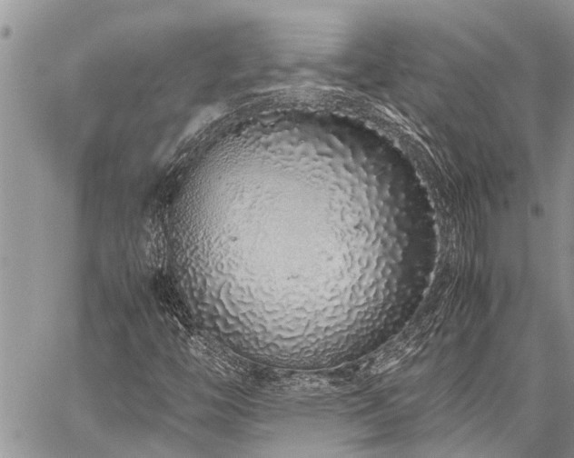 X0000059801446200510211040