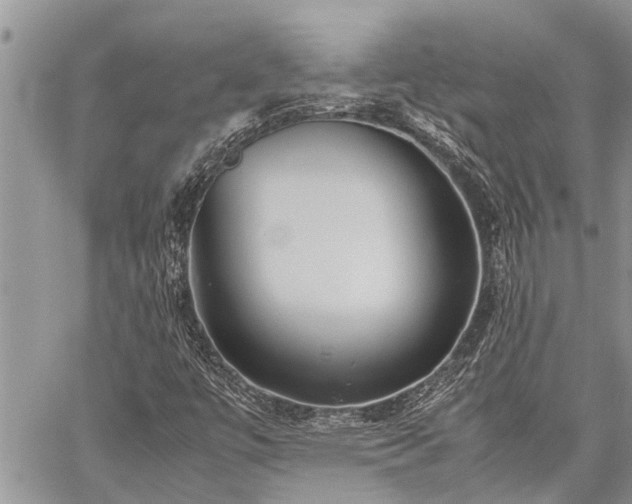 X0000059801447200510211040