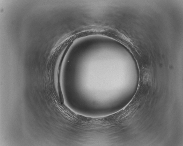 X0000059801448200510211040