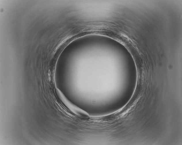 X0000059801449200510211040