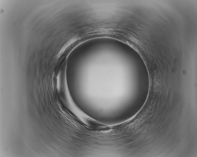 X0000059801450200510211040