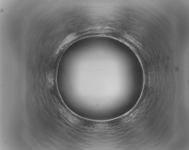 X0000059801451200510211040