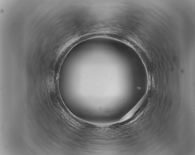 X0000059801452200510211040