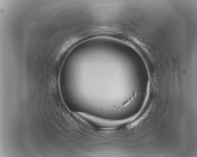 X0000059801453200510211040