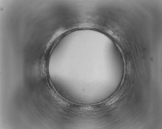 X0000059801454200510211039