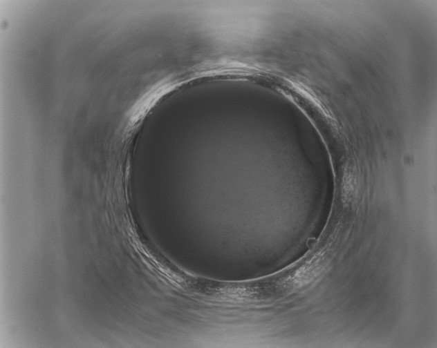 X0000059801455200510211039