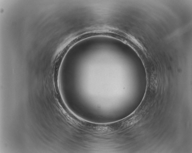 X0000059801456200510211039